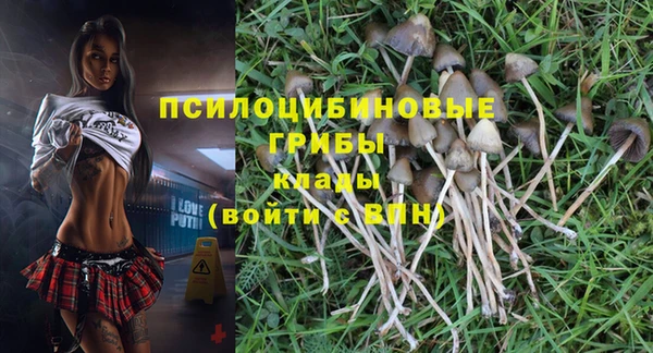 мяу мяу мука Богданович