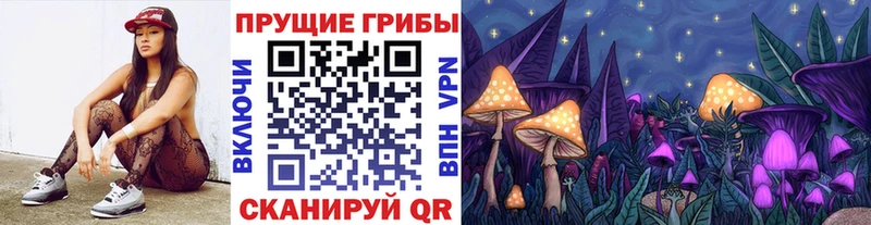 Галлюциногенные грибы MAGIC MUSHROOMS  закладка  OMG ТОР  Киселёвск 