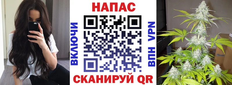 Марихуана OG Kush Киселёвск